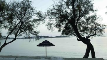 Η φωτογραφία της ημέρας