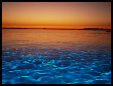 Η φωτογραφία της ημέρας