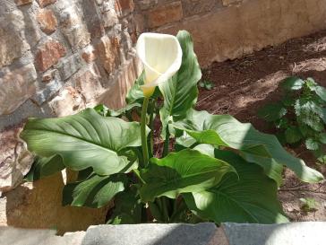 Η φωτογραφία της ημέρας