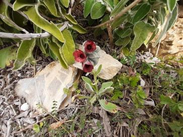 Η φωτογραφία της ημέρας