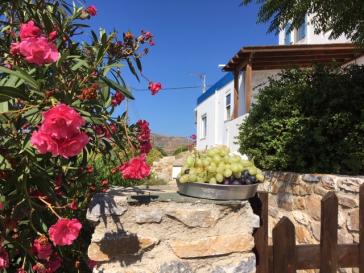 H φωτογραφία της ημέρας