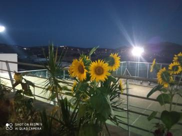 Φωτογραφία της ημέρας