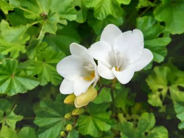 Η φωτογραφία της ημέρας