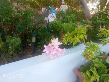 Η φωτογραφία της ημέρας