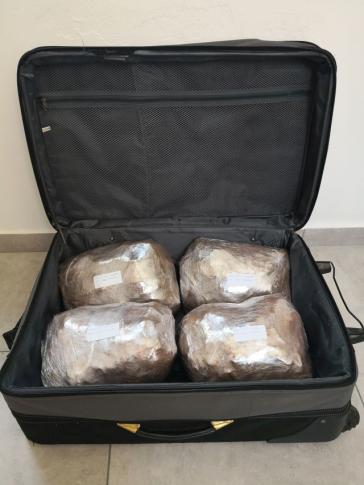 Εντοπισμός και κατάσχεση ακατέργαστης κάνναβης