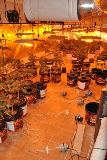 Εντοπίστηκε πλήρως εξοπλισμένο εργαστήριο υδροπονικής καλλιέργειας κάνναβης, σε υπόγειο σπιτιού περιοχής της Φθιώτιδας